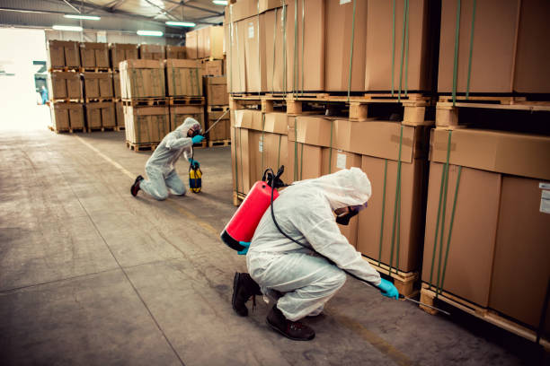 Best Wildlife Control Services  in Fountain Valley, CA