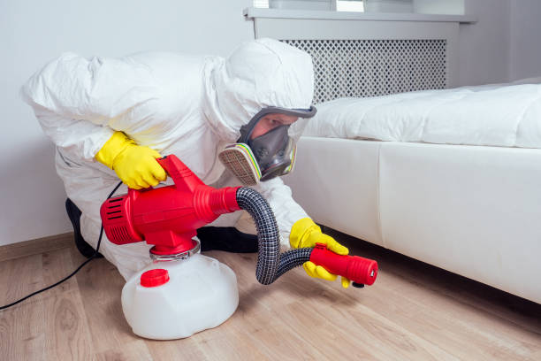 Best Wasp Removal Services  in Fountain Valley, CA