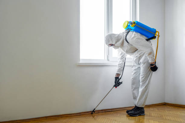 Professional Pest Control in Fountain Valley, CA