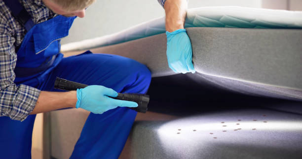 Best Bed Bug Extermination  in Fountain Valley, CA