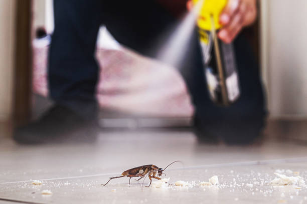 Pest Control Cost in Fountain Valley, CA