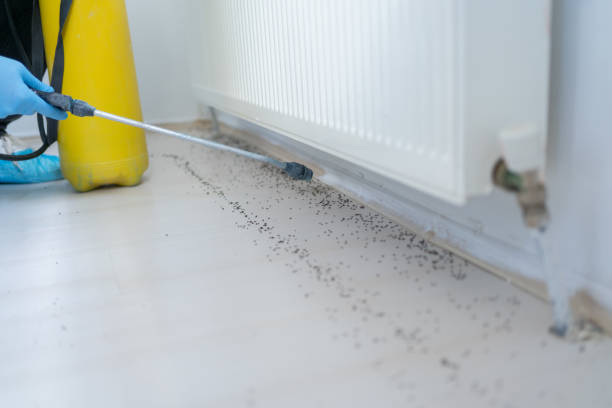 Best Cockroach Control Services  in Fountain Valley, CA