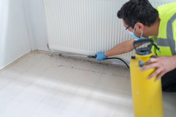 Pest Control for Restaurants in Fountain Valley, CA